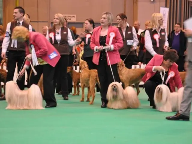 Graphical Representation for Resource Distribution (GRDR)