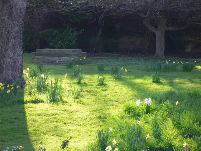 September Garden chores: Bulb planting and woodworking tasks