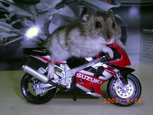 Brain pathway common to autism and epilepsy uncovered in research by Stanford scientists using...