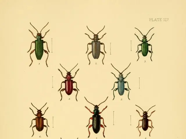 Warning Issued for Japanese Beetles in Groß-Gerau District