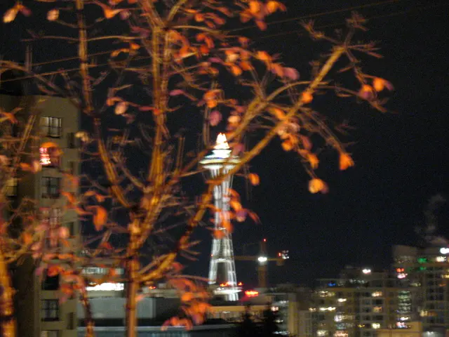 Power outage in Sacramento house after a tree branch falls, raising questions about who is...