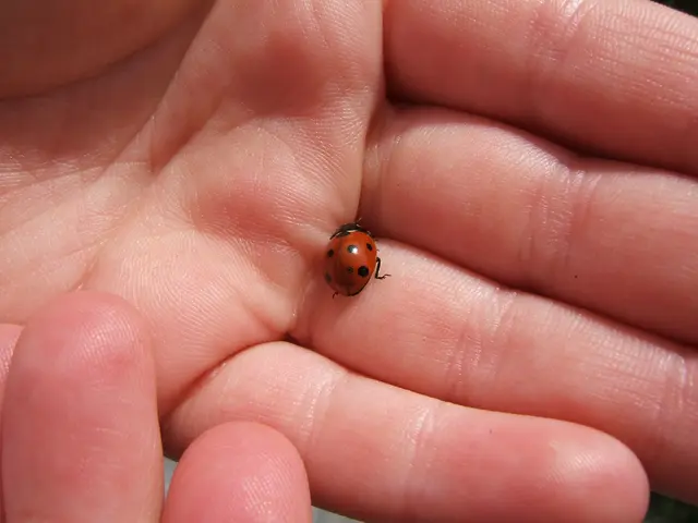 Investigating the Long-term Impact of Chiropractic Adjustments on Alleviating Persistent Pain from...