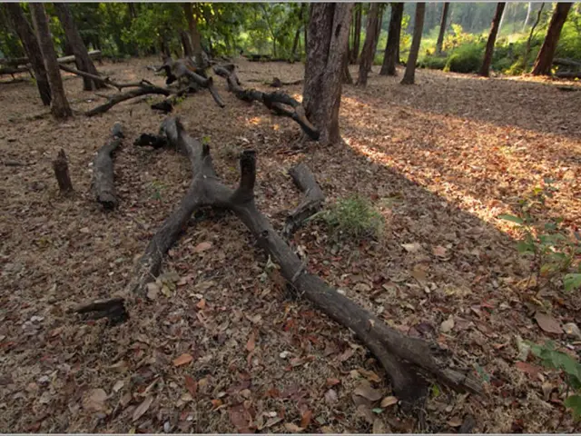 DIY Guide: Creating Homemade Compost (Both Indoor and Outdoor Options)