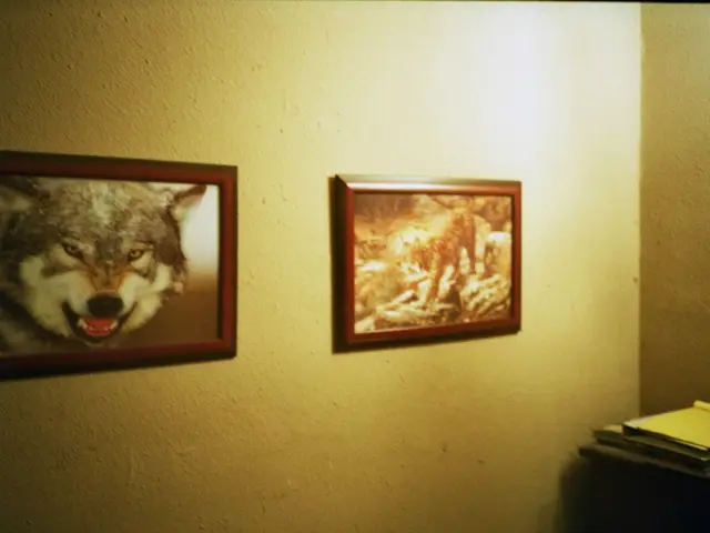 Farming animals will now be subject to a new directive aimed at safeguarding their well-being, as...