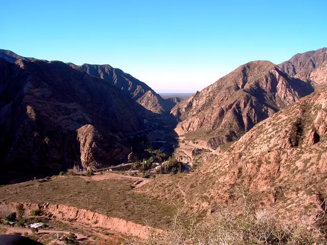 Regional Tax Alliance