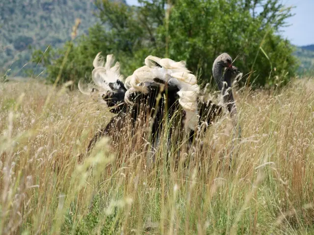 Farmers experience advantageous financing conditions for growing investments