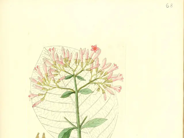 New initiative by VBSP: STEM scholarships financed by the government