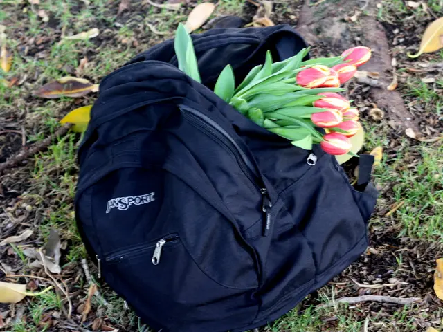 Expanding Your Collection: 7 Plants I'm Potting in September - Top Perennials, Grasses, and Ferns...