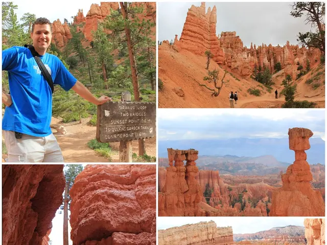 Addressing Potential Disputes and Climate Issues Via Digital Preservation, Training, and...