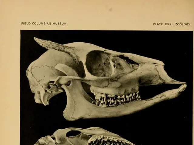 Linking Alzheimer's to an Epigenomic Disintegration, Rather Than Just Plaques