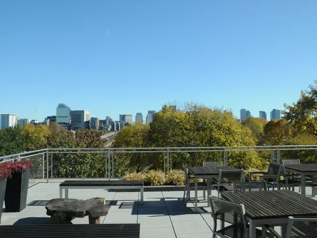 Reborn establishment outside Geppo's center now serves as a haven for fans of all things gray