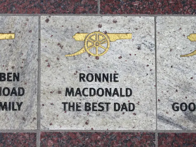 Ancient Rocks of Shark Bay That Altered Earth's Atmosphere: Life-bearing Stones Worth a Look