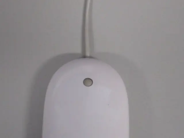 Researchers detail comprehensive brain activity during the decision-making process for the first...