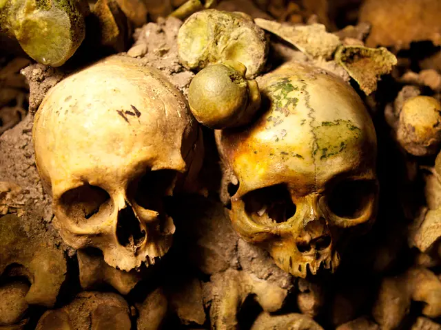 Ancient Mammoth Bones Contain Earth's Oldest DNA, Revealing Details About Old Microbial Life