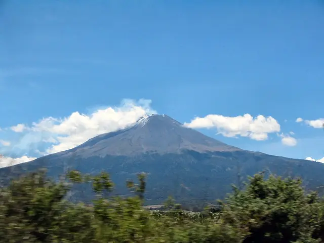 Protective vegetation barriers installed on walls to combat unwanted plant growth