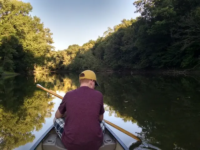 Complete Full-Body Rowing Exercise Routine for All Abilities