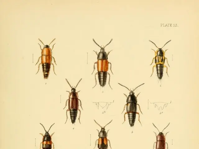 Camper Enthusiasts Vouch for a Quick Bug-Eliminating Gadget That Stores Away Annoying Insects...