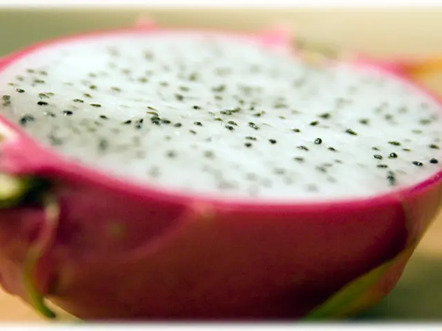 Thriving Dragon Fruit Farms Bring Long-Term Earnings: Insights on lucrative profits, minimal...