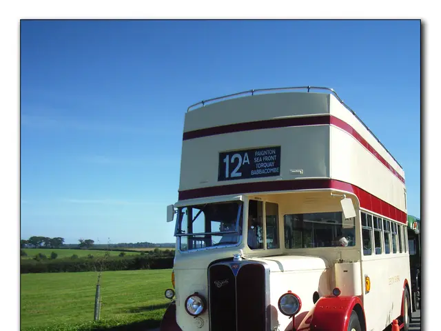 Inebriated motorist collides with schoolgirl in Sochi city