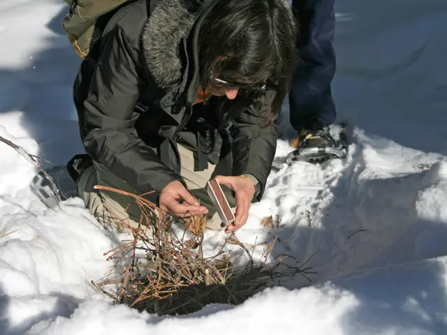 Firefox ESR Version 115 Remains Unyielding on Windows 7 Operating System, Persisting Until March...