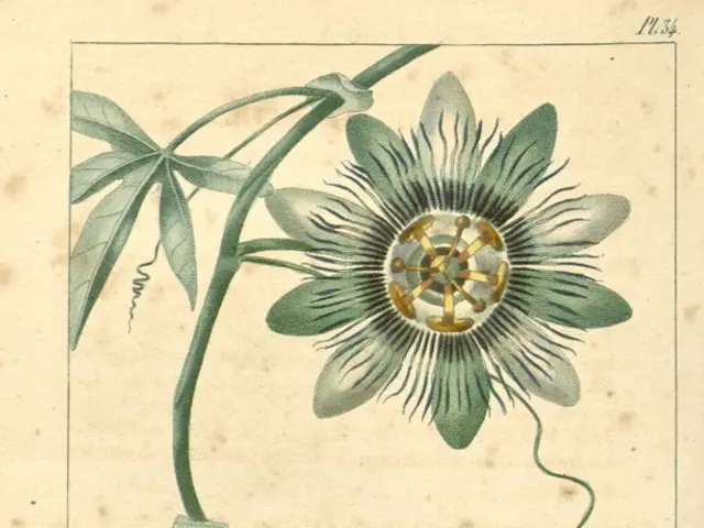 Isolating Genetic Material