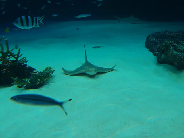 Summer swimming in Europe's bathing spots given a clean bill of health