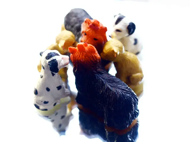 Valuable findings: A common plaything unexpectedly gains worth