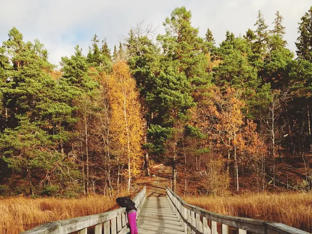 Tragic update: the vanished senior citizen has been found deceased