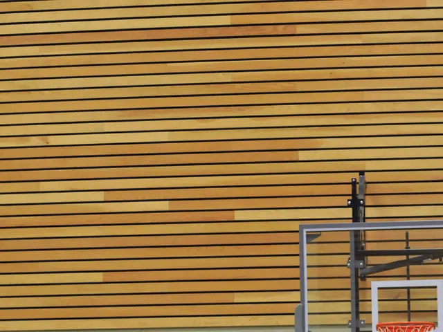 Is Robert Horry's Induction into the Basketball Hall of Fame Justified?