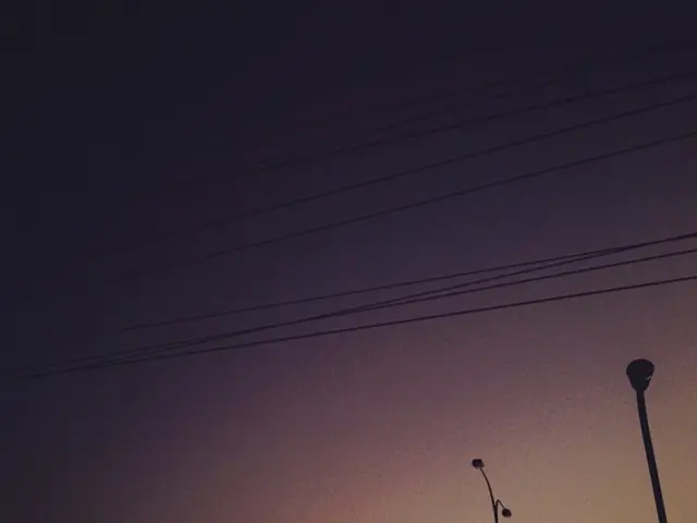 Bonsai Wiring Techniques: Insights into Applications and Benefits