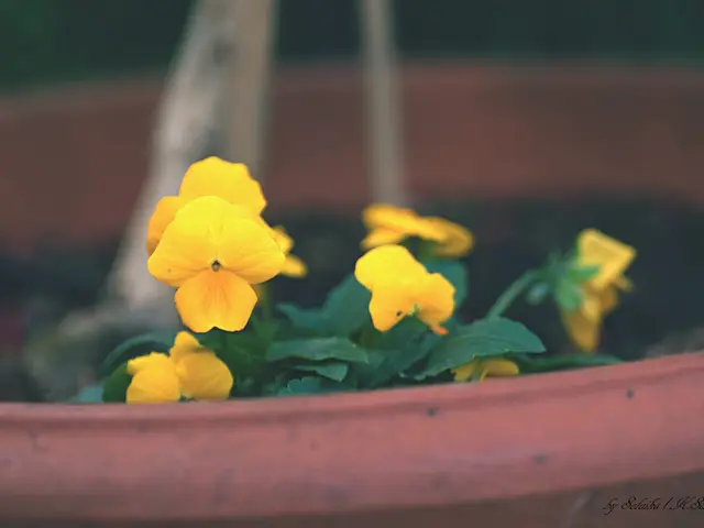 Creating Faux Photographs: A Step-by-Step Guide