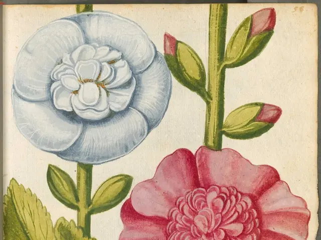 The brain perceives scents akin to visual art and music, as per recent studies