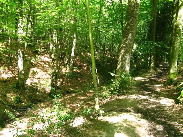 Fast Furniture Production at IKEA: The Financial Incentives, Organized Crime Links, and...