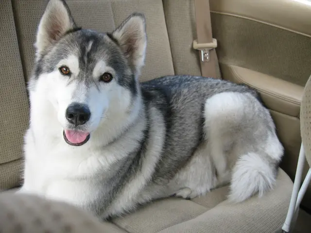 Authorities seek specific individuals who may have observed a relevant event.