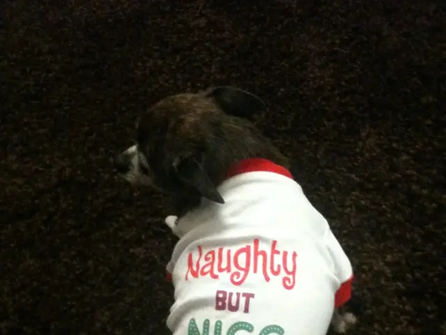 Expanding Pet Clothing Sector Anticipated to Hit USD 9.1 Billion by 2033, Growing at a Rate of 5.6%...