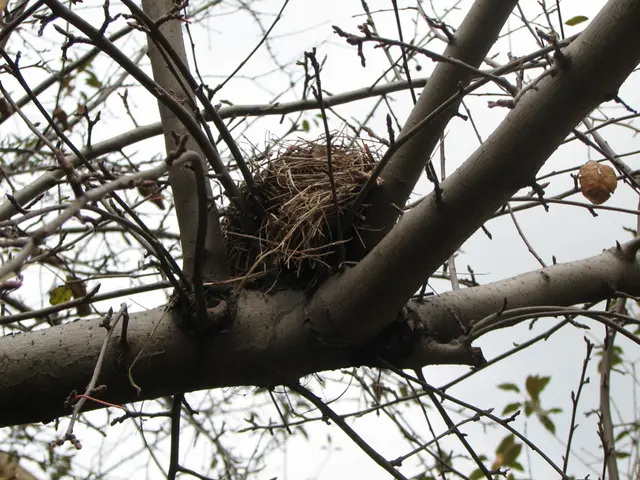 Former Nestlé executive openly discusses termination following affair, fresh allegations surface