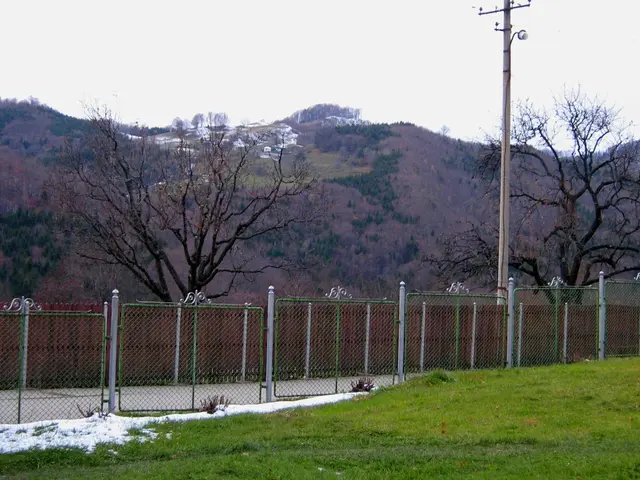 Grants Aid Disbursed as Public Funds for Company's Restructuring, According to Commission.