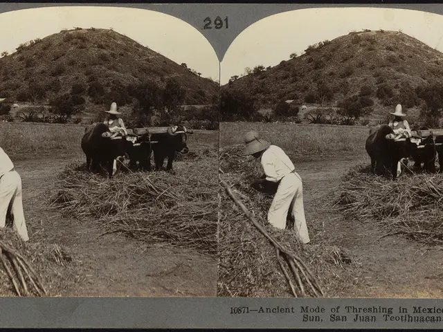 EOG Resources' Share Performance Lagging Behind S&P 500?