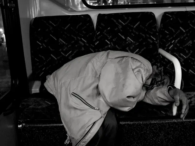 Impaired Driver Dozes Off at Red Light in Freiburg