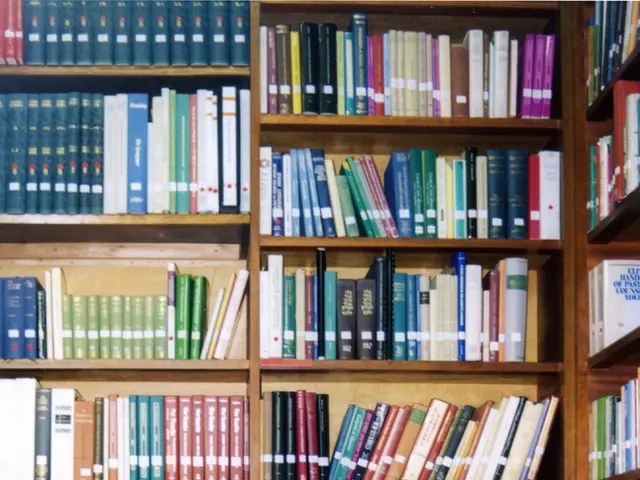 Guide to the Novel: Knight's Hold and Conquer