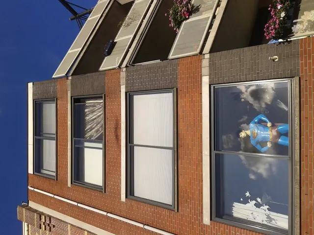 Indoor plants that are non-toxic and pet-friendly