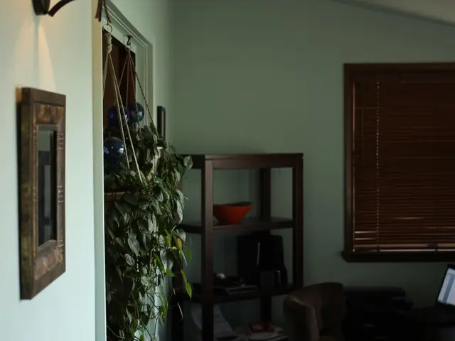 House Decor: Invigorate Your Living Space with Indoor Hanging Plants