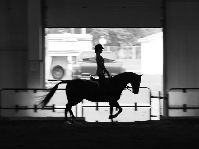 Elderly woman, aged 84, sustains severe injury from a horse; cyclist witnesses the accident and...