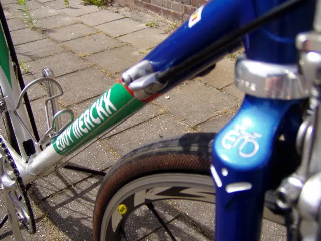 A Moving Trip to the Baltic Sea, Transitioning from the Death Strip to the Scenery of Natural...