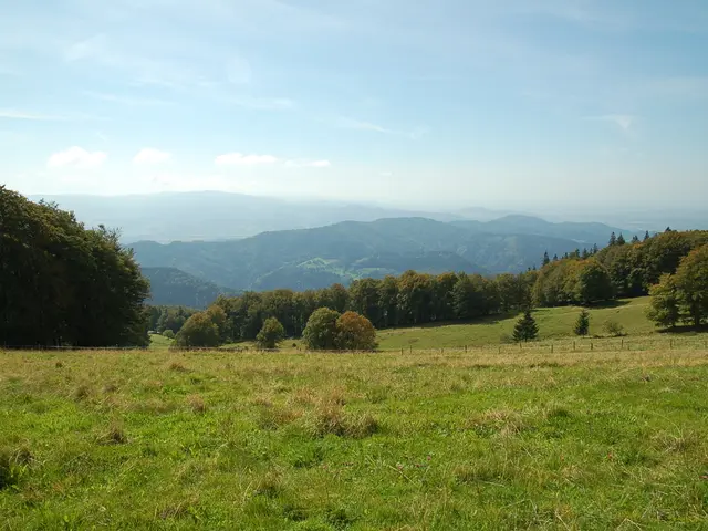 Distribution of Herbaceous Marsh Vegetation Above-Ground Mass Across China Geographical Regions