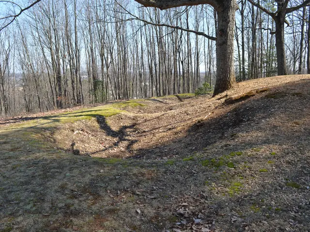 Distribution and Spatial Arrangement of Aboveground Biomass in Herbaceous Marsh Plants Across China