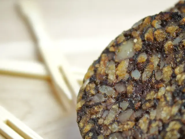 Giant Black Holes Found in Palomar 5 Star Cluster: Astronomical Researchers' Findings