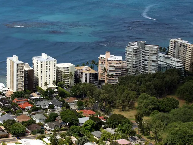 Blooming of blue algae in the Ilz River
