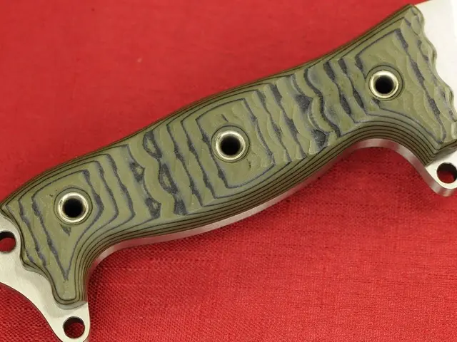 Police in NRW (North Rhine-Westphalia) federal state have taken into custody several suspects...