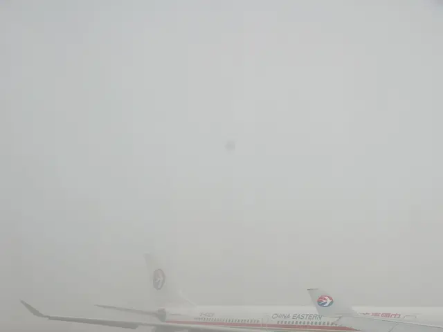 Autonomous vehicle company Waymo has received authorization to conduct operations at San José...